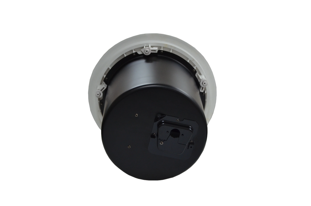 OEM ODM Manufacturer Surround Sound Passive Ceiling Subwoofer Speaker Metal Sonos Speaker Indoor 200W 100W Painoor Speaker 313mm