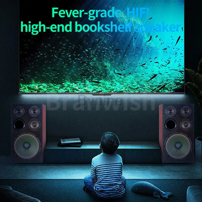 10 Inch Household 200W High Power Bookshelf Speaker Professional Karaoke Card Package Audio HiFi Fever Front Passive Speaker