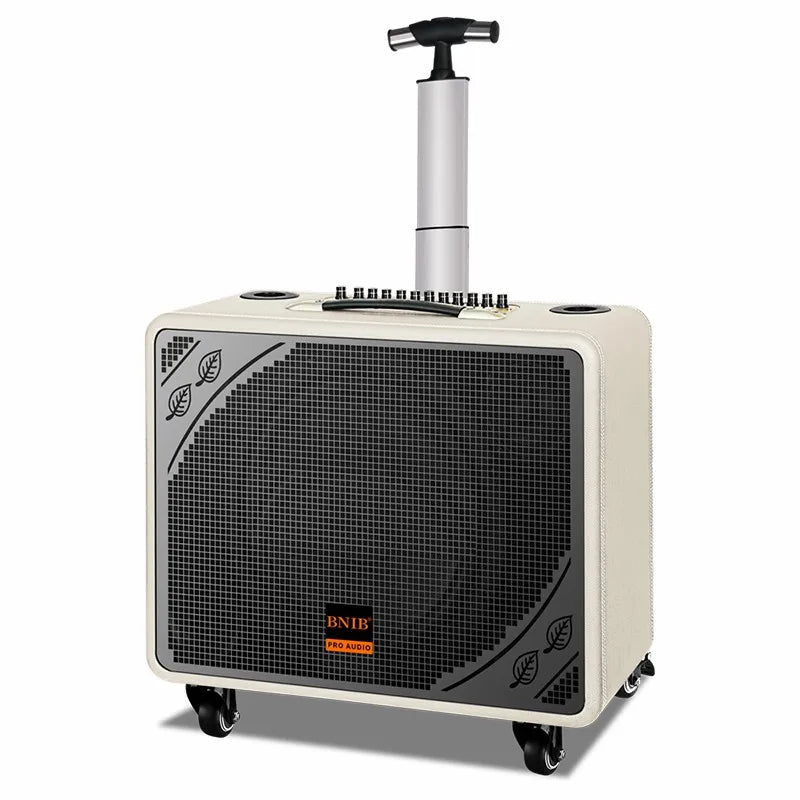 2022 New Product ODM OEM 2.1 Travel Trolley Speaker Marshal Speaker Amplifier Speakers Wholesale Sound System