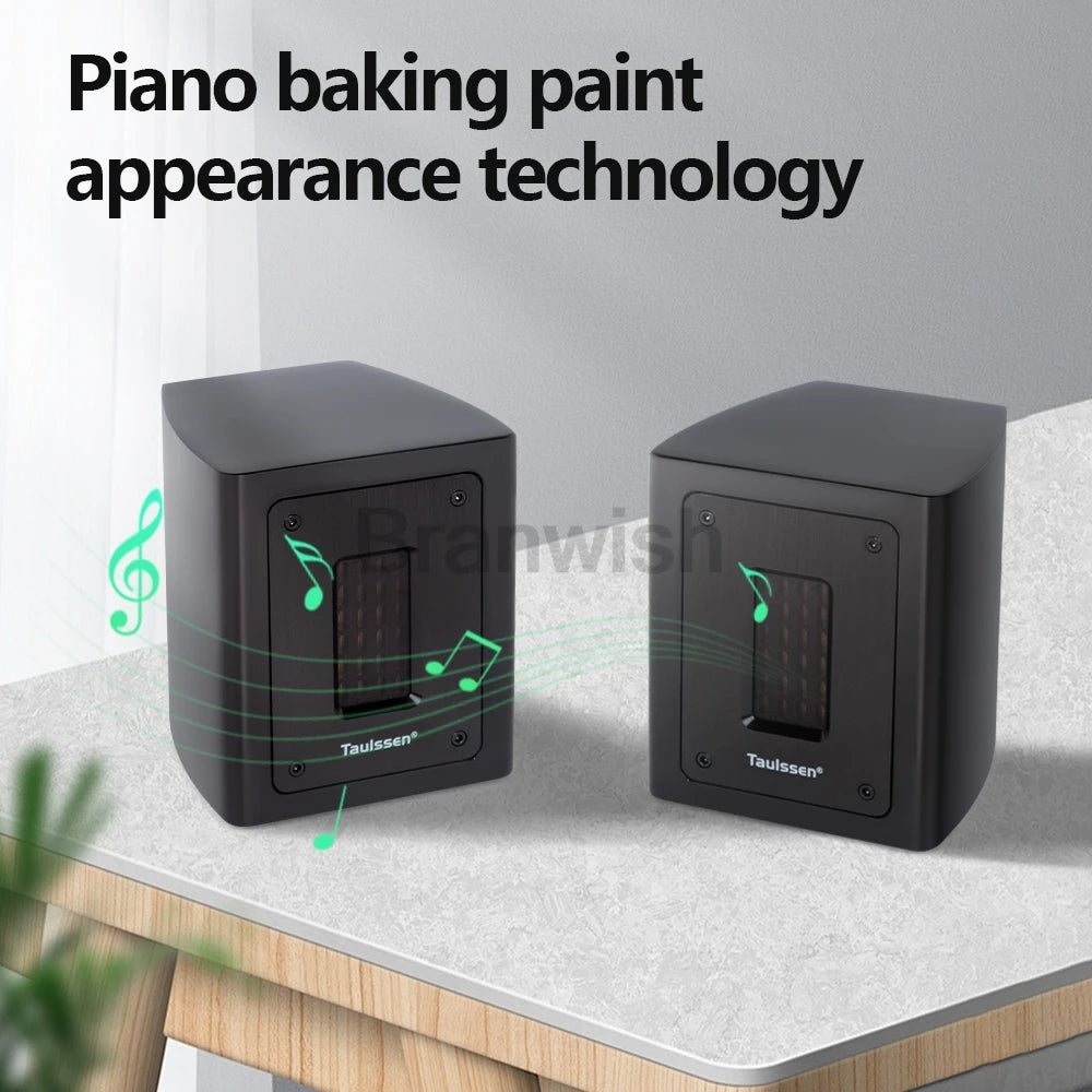 5Ohm Brand New Fever Independent Ribbon Super Tweeter External Tweeter Passive Speaker Sound Box 30W Extension