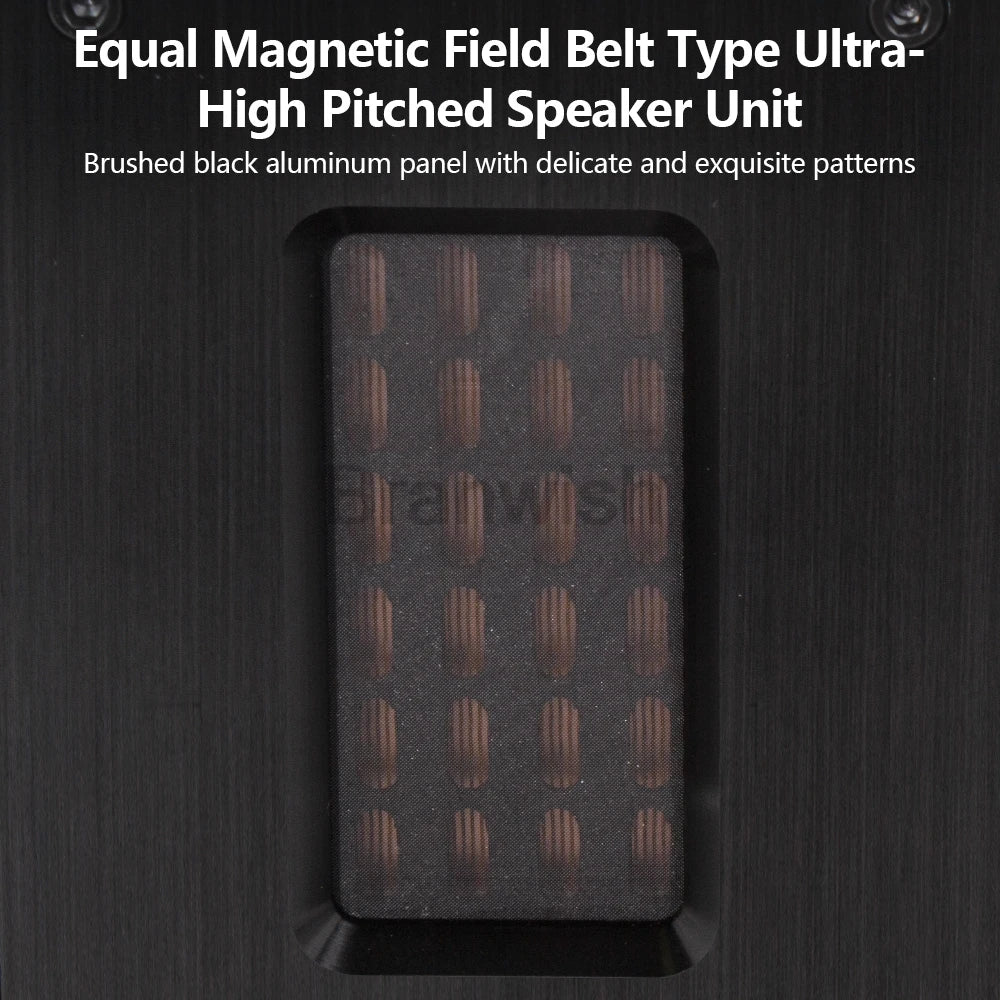 5Ohm Brand New Fever Independent Ribbon Super Tweeter External Tweeter Passive Speaker Sound Box 30W Extension