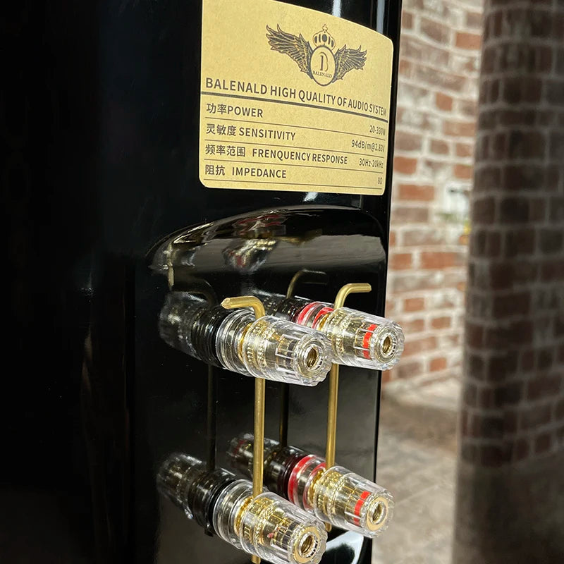 Balenald Home Theater System BA-9 Three-Way Speakers Dual 8-Inch Audiophile-Grade Passive Floor-Standing HIFI Nautilus Speakers