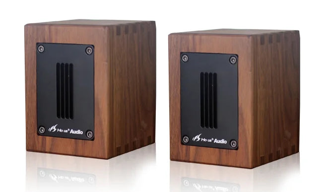 30W 6Ohm Brand New Walnut Fever Independent Ribbon Super Tweeter External Tweeter Sound Box Speaker
