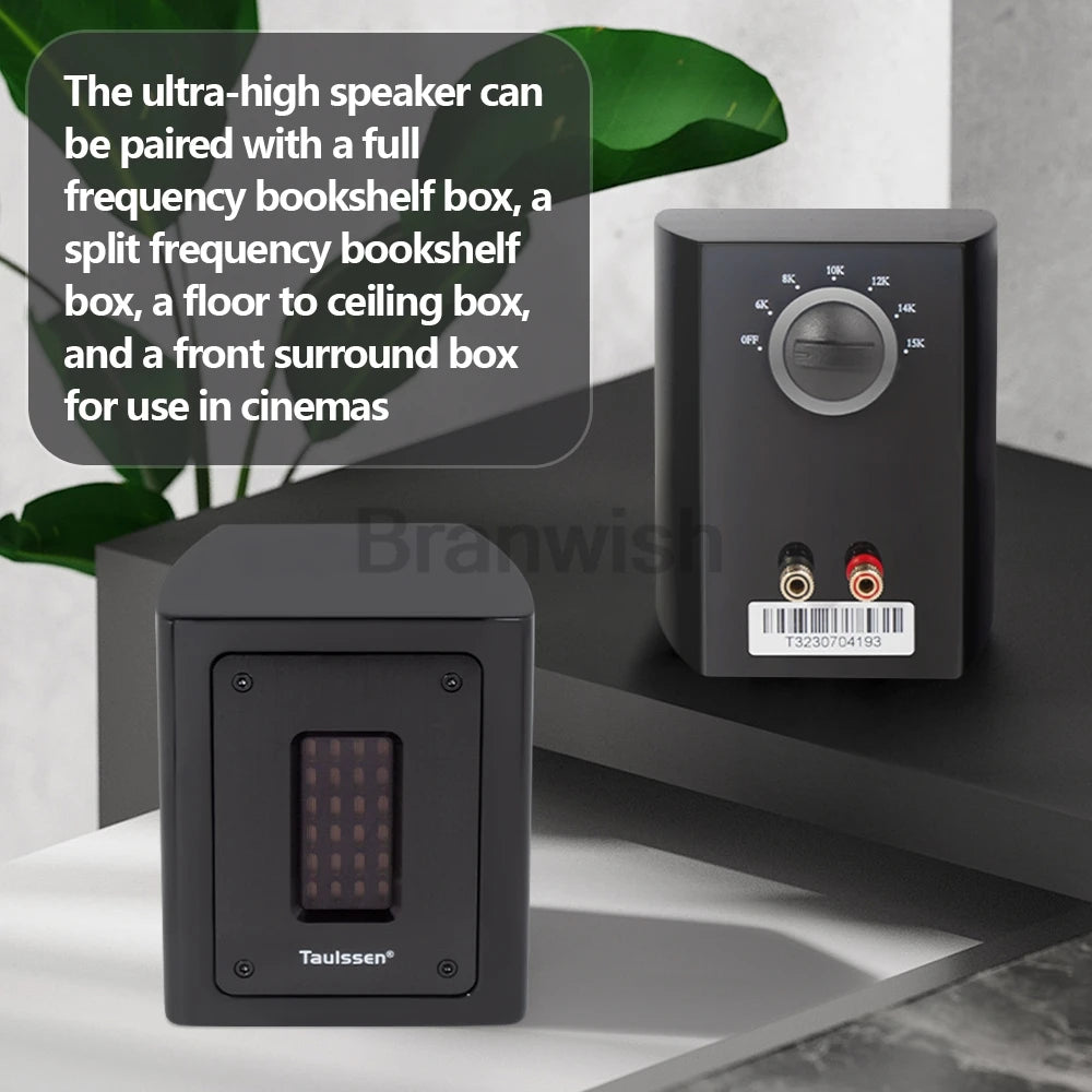 5Ohm Brand New Fever Independent Ribbon Super Tweeter External Tweeter Passive Speaker Sound Box 30W Extension