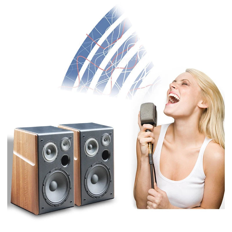 200W 8/10 Inch Wooden Speaker Woofer 4ohm KTV Speaker Treble Home Singing Audio Home Fever Passive Speaker Bookshelf Speaker